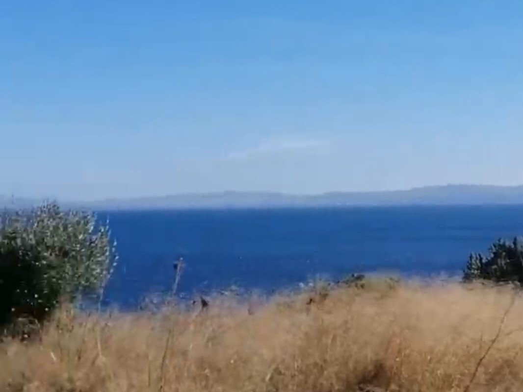 Çınar Gayrimenkul